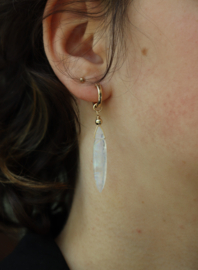 Regenboog maansteen 14k gold filled oorbellen