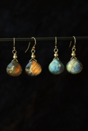 Labradoriet 14k gold filled gouden oorbellen