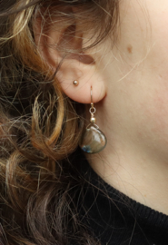 Labradoriet 14k gold filled gouden oorbellen