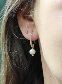 Zoetwaterparel oorbellen gold plated