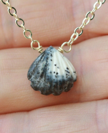 Opaal schelp ketting gold plated