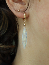 Regenboog maansteen 14k gold filled oorbellen