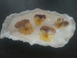Losse oester viooltjes zilverrand