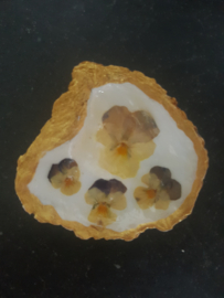 Losse oesterdeksel viooltjes goudrand