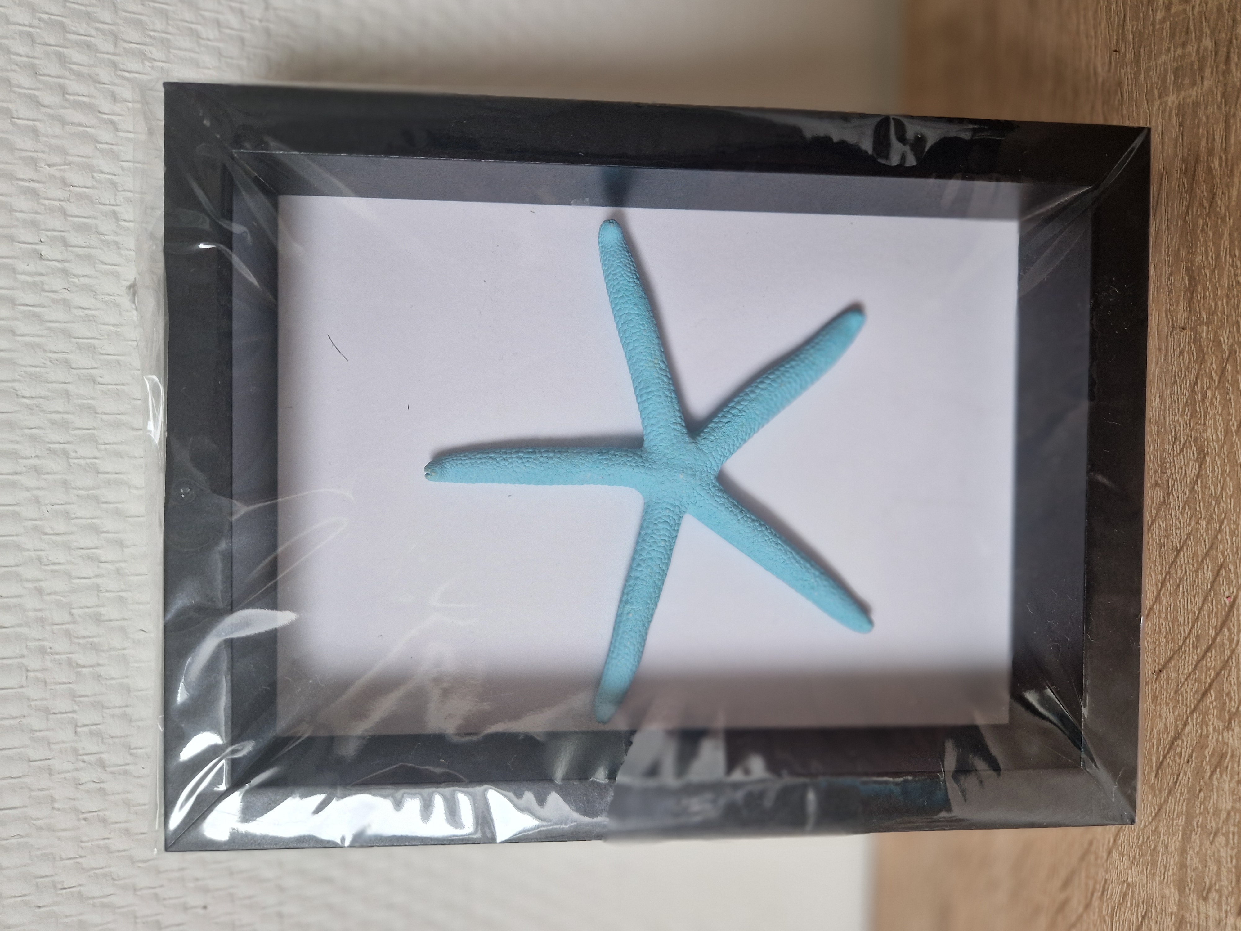 Zwarte lijst 14 x 19 cm met turquoise zeester  NIEUW!!