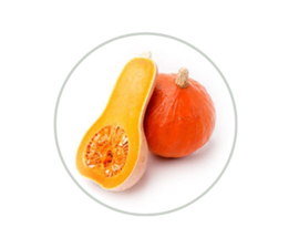 SOEP-AAN-HUIS-SERVICE