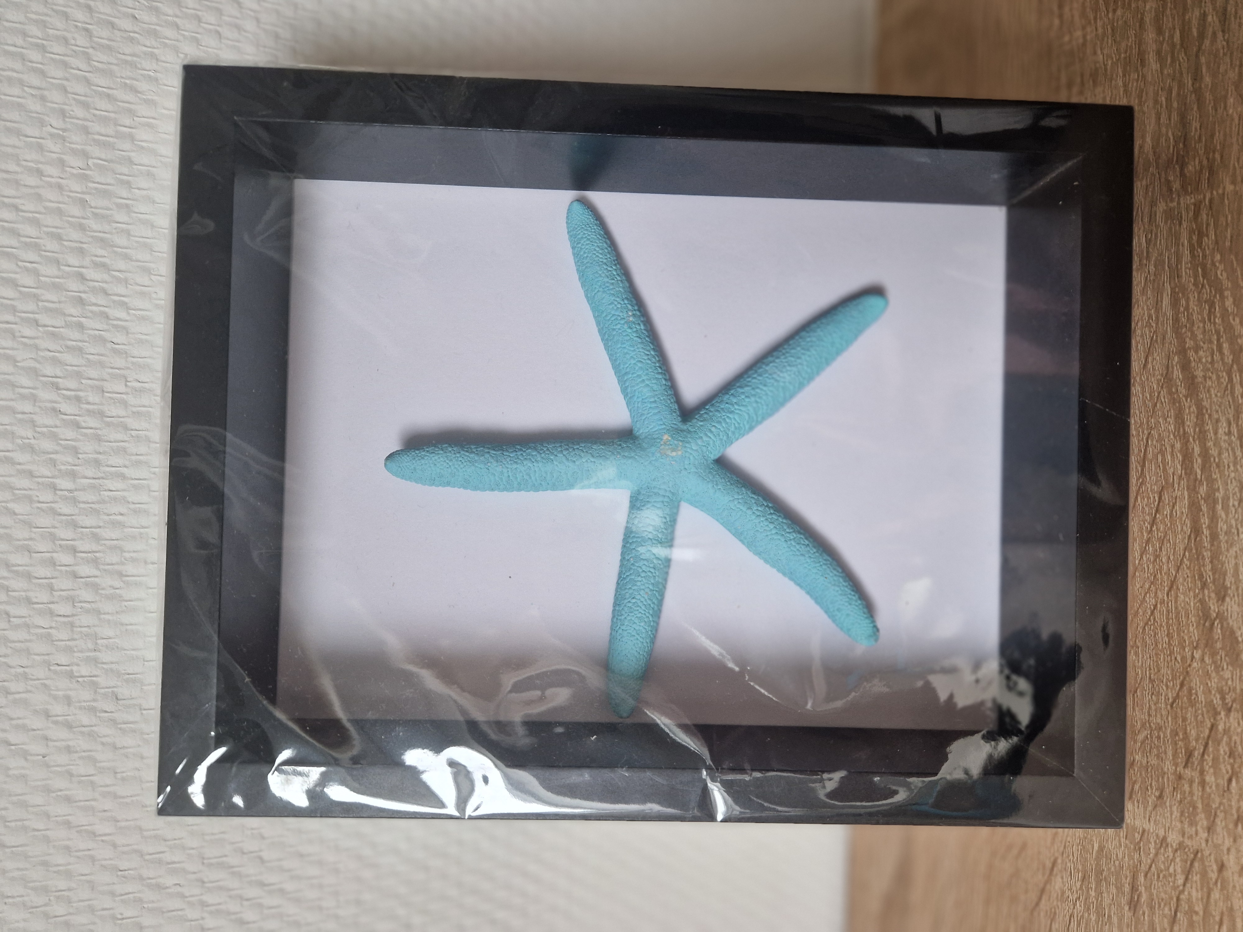 Zwarte lijst 17 x 21,5 cm met turquoise zeester  NIEUW!!