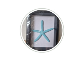 Zwarte lijst 17 x 21,5 cm met turquoise zeester  NIEUW!!