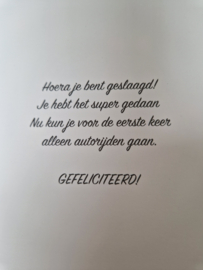 Kaart Rijbewijs gehaald  NIEUW!!!