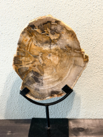 Versteend hout