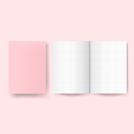 Little project notebook -Graph pages - Pink
