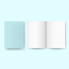 Little project notebook -Graph pages - Blue