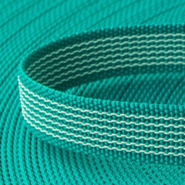 Leidsels volledig anti slip turquoise