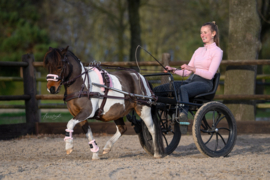 Schoftonderlegger unicorn apricot