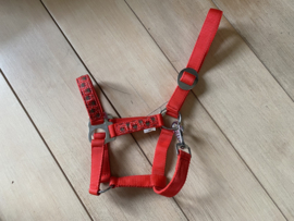 Christmas halter reindeer