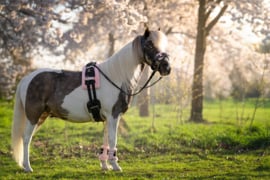 Longeeronderlegger unicorn apricot