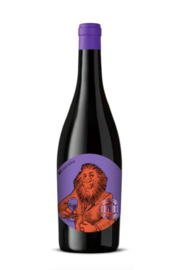 DYR  collection IGP Vinho Regional Lisboa