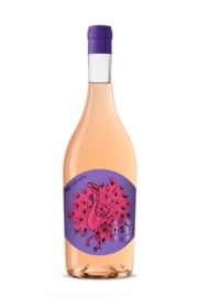 DYR  collection IGP Vinho Regional Lisboa