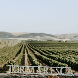 Masterclass Tormaresca/Antinori , woensdag  26 maart 2025