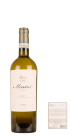 Cantine Minini Casa Vinicola Soave  DOC