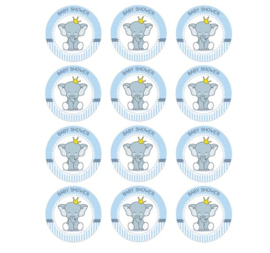 Babyshower - olifantje - 12 stickers