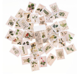 Stickers | Postzegels met planten