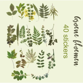 PET-stickers- Groene bladeren