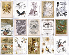 Vogels | 60 stuks achtergrondpapier