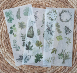 Groene takjes en bladeren | 3 vellen washistickers