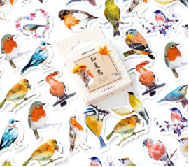 Stickers | Tuinvogels