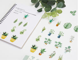 Stickers | Groene planten en bladeren