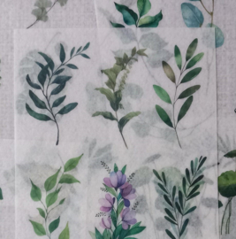 Groene takken en blaadjes | 6 vellen washistickers