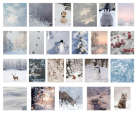 Stickers | Winterse sferen