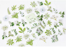Stickers | Groene planten en bloemen