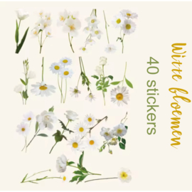 PET-stickers- Witte bloemen