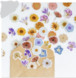 Stickers | Gekleurde bloemen