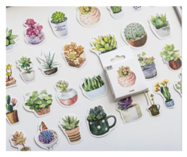 Stickers | Vetplanten en cactussen in pot