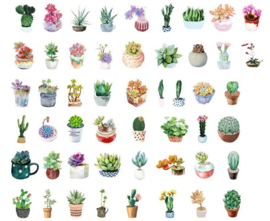 Stickers | Vetplanten en cactussen in pot
