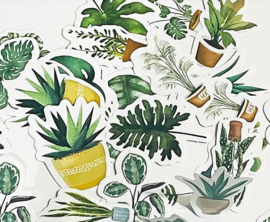 Stickers | Groene planten en bladeren