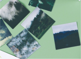 Stickers | Natuur