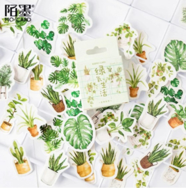 Stickers | Groene plant in pot