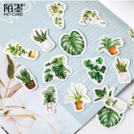 Stickers | Groene plant in pot