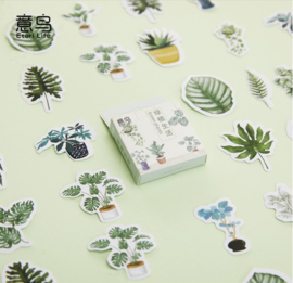Stickers | Groene planten en bladeren
