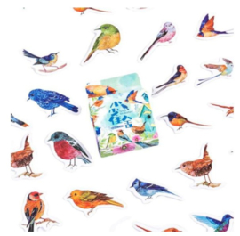 Stickers | Vrolijke vogels