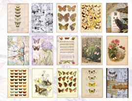 Vlinders | 60 stuks achtergrondpapier