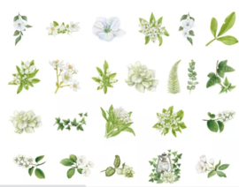 Stickers | Groene planten en bloemen