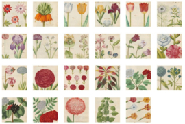 Stickers | Voorjaarsbloemen