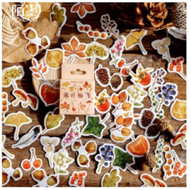 Stickers | Herfstvruchten