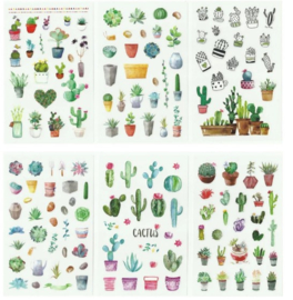 Cactus | 6 vellen washistickers