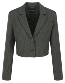 Elvira blazer Claire green stripe E4 25-018